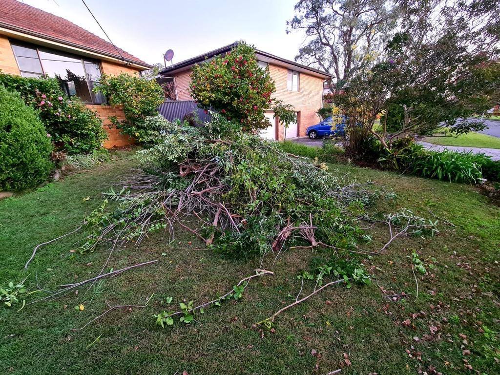 green-waste-tree-cuttings