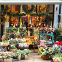 Greenwich Flower Shop: Elegant Creations for Every Occasion