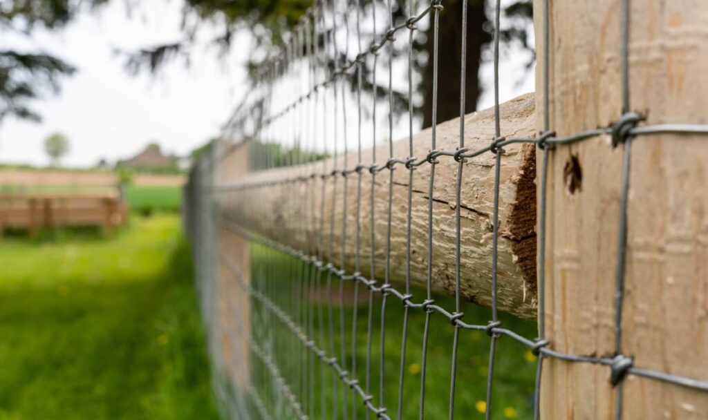 mesh fencing
